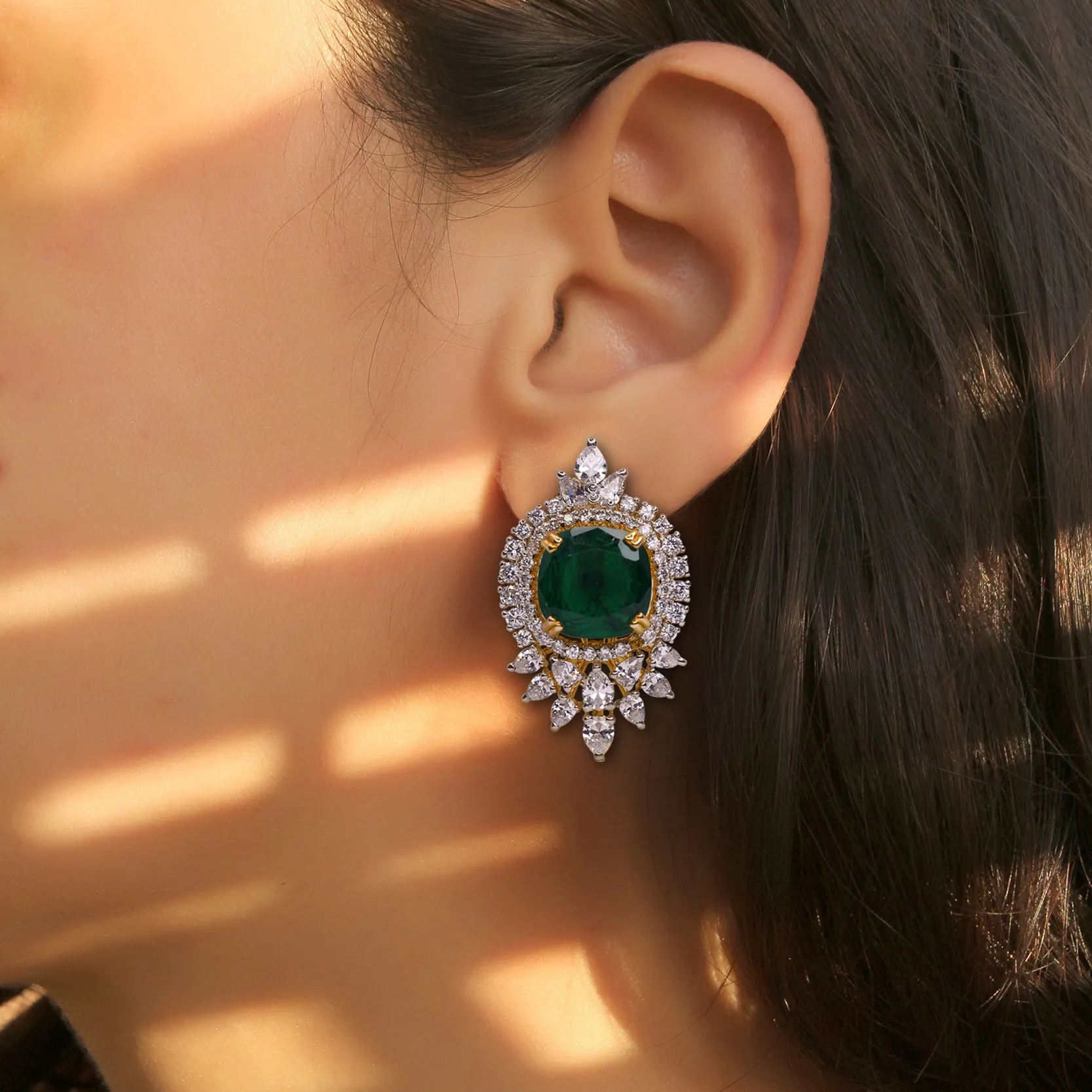 Earrings - E1309