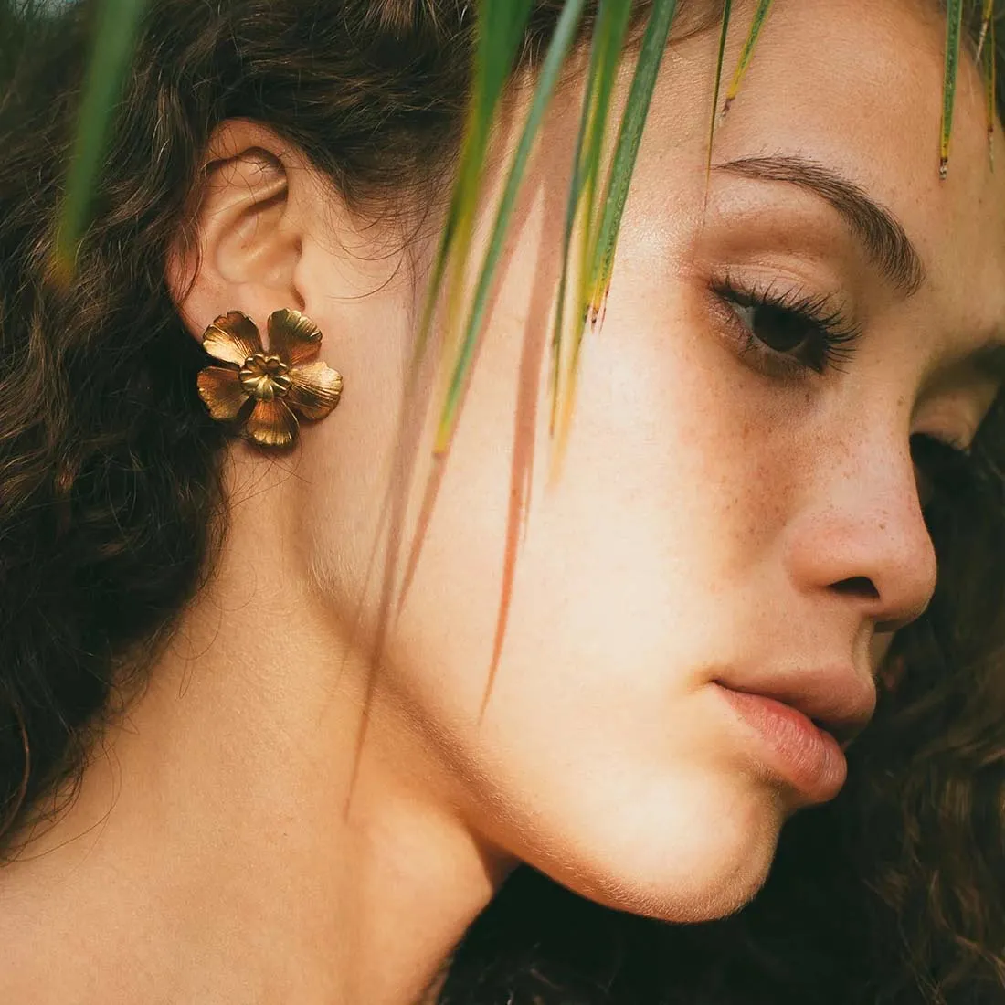 Hibiscus Brass Studs