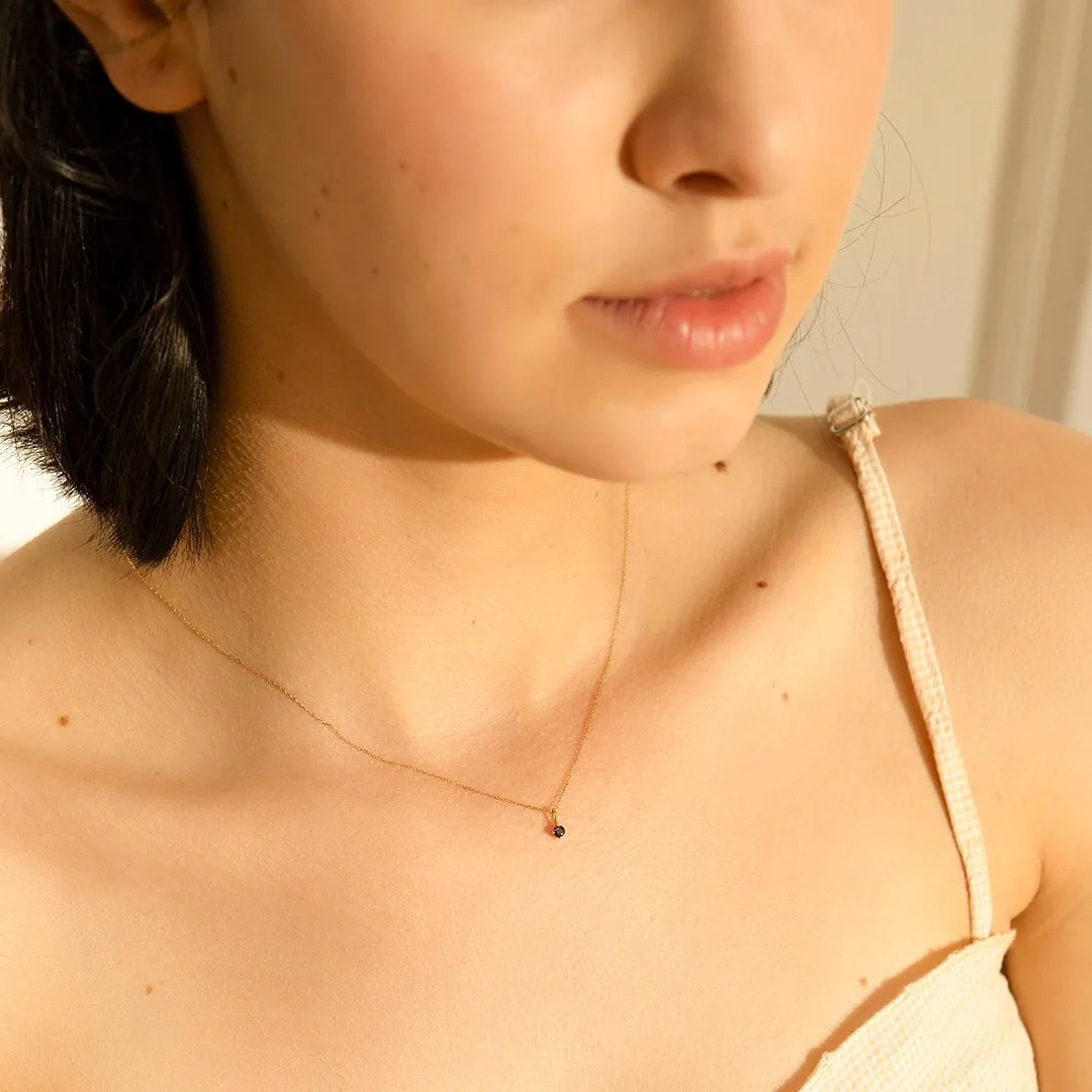 SEPTEMBER  |  Sapphire Necklace Charm